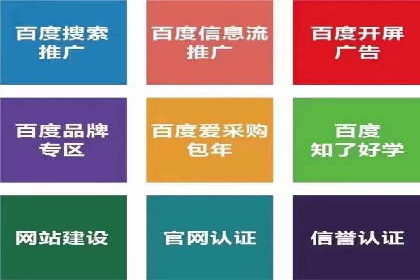 SEM代运营案例：打造高效广告投放方案